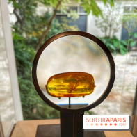 Trésors de la Mer Baltique - IMG 5838