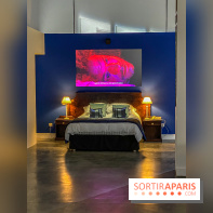 Exposition Lili Reynaud-Dewar Palais de Tokyo