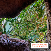 Automne Tropical 2023