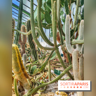 Automne Tropical 2023