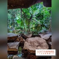 Automne Tropical 2023