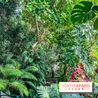 Automne Tropical 2023