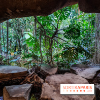 Automne Tropical 2023