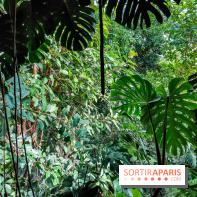 Automne Tropical 2023