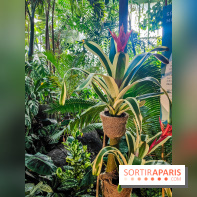 Automne Tropical 2023