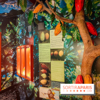 Choco Story, le musée du chocolat hyper gourmand à Paris