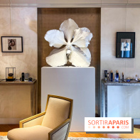 Les Fleurs du Mal, l'exposition gratuite sur les fleurs à la Maison Guerlain - Champs-Élysées - image00064