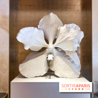 Les Fleurs du Mal, l'exposition gratuite sur les fleurs à la Maison Guerlain - Champs-Élysées - image00068