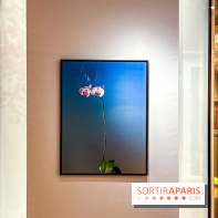 Les Fleurs du Mal, l'exposition gratuite sur les fleurs à la Maison Guerlain - Champs-Élysées - image00074