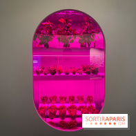 Mission spatiale - IMG 2811