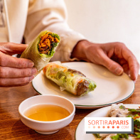 Saigon d'Antan - restaurant vietnamien - rouleau de printemps