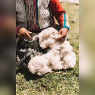 Un pop up store qui vous fait découvrir la magie péruvienne pendant la période de Noël -  S7A2550