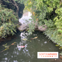 Le parc Montsouris - nos photos - image00043