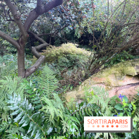 Le parc Montsouris - nos photos - image00034