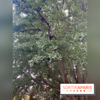 Le parc Montsouris - nos photos - image00037