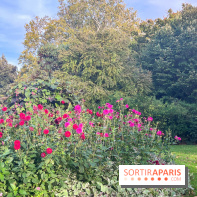 Le parc Montsouris - nos photos - image00011