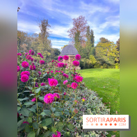 Le parc Montsouris - nos photos - image00014