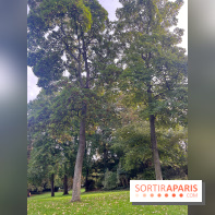 Le parc Montsouris - nos photos - image00004