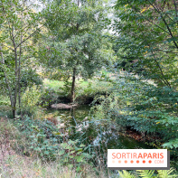 Le parc de l'Île Verte à Chatenay-Malabry - nos photos - image00545