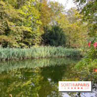 Le parc de l'Île Verte à Chatenay-Malabry - nos photos - image00548