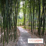 Le parc de l'Île Verte à Chatenay-Malabry - nos photos - image00540