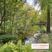 Le parc de l'Île Verte à Chatenay-Malabry - nos photos - image00544