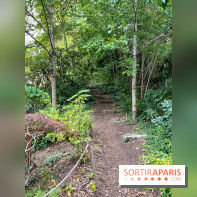 Le parc de l'Île Verte à Chatenay-Malabry - nos photos - image00521