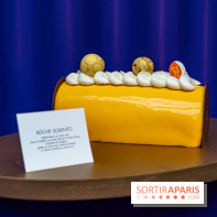 Les bûches de Noël 2023 et galettes 2024 de Pierre Hermé