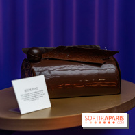 Les bûches de Noël 2023 et galettes 2024 de Pierre Hermé  - A7C1745