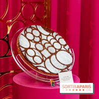 Les bûches de Noël 2023 et galettes 2024 de Pierre Hermé