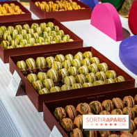 Les bûches de Noël 2023 et galettes 2024 de Pierre Hermé