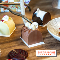 Bûches de Noël 2023 et galette 2024 de Lenôtre  - A7C0853