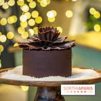 Bûches de Noël 2023 et galette 2024 de Lenôtre  - A7C0861