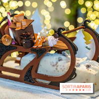 Bûches de Noël 2023 et galette 2024 de Lenôtre  - A7C0871