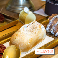 Bûches de Noël 2023 et galette 2024 de Lenôtre  - A7C0873