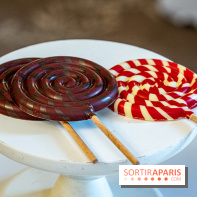 Bûches de Noël 2023 et galette 2024 de Lenôtre  - A7C0881