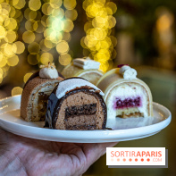 Bûches de Noël 2023 et galette 2024 de Lenôtre  - A7C0893