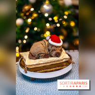 Bûche de Noël du Lutetia 2023 et galette des rois 2024 par Nicolas Guercio  - A7C0673