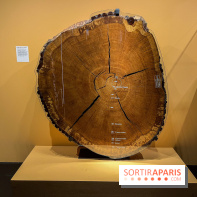 Explorer l'infiniment - nos photos de l'exposition au musée des Arts et Métiers