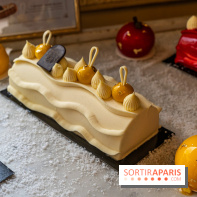 Bûche de Noël d'Angelina 2023 - A7C0402