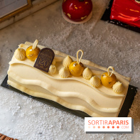 Bûche de Noël d'Angelina 2023 - A7C0411