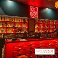 Red Poppy - IMG 6205