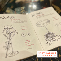 Red Poppy - IMG 6209