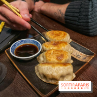 Red Poppy - IMG 6229