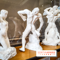 Le Musée Rodin, ses collections et son jardin