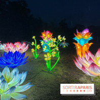 Thoiry Lumières Sauvages 2023 - 2024 - IMG 6285