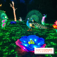 Thoiry Lumières Sauvages 2023 - 2024 - IMG 6293