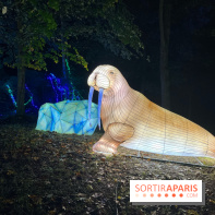 Thoiry Lumières Sauvages 2023 - 2024 - IMG 6307