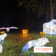 Thoiry Lumières Sauvages 2023 - 2024 - IMG 6323