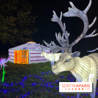 Thoiry Lumières Sauvages 2023 - 2024 - IMG 6325